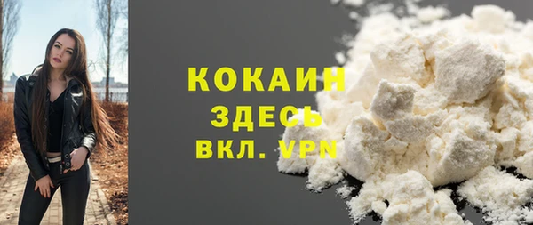 дмт Дмитровск