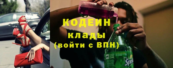 дмт Дмитровск