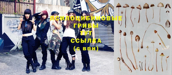 бутират Весьегонск