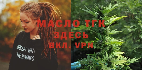 дмт Дмитровск