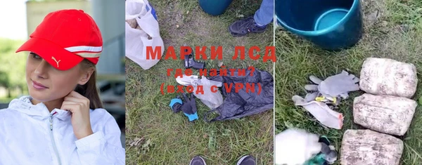ПСИЛОЦИБИНОВЫЕ ГРИБЫ Видное