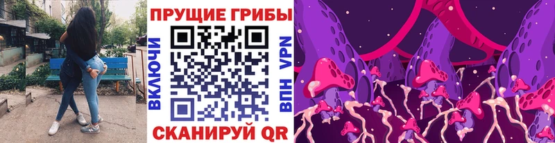 Псилоцибиновые грибы Psilocybine cubensis  Очёр 